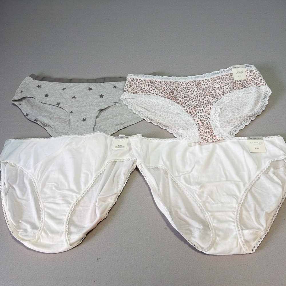 Underwear Panty Bundle Women's Plus Size 1X Charter Club Jenni Cotton Briefs NWT
